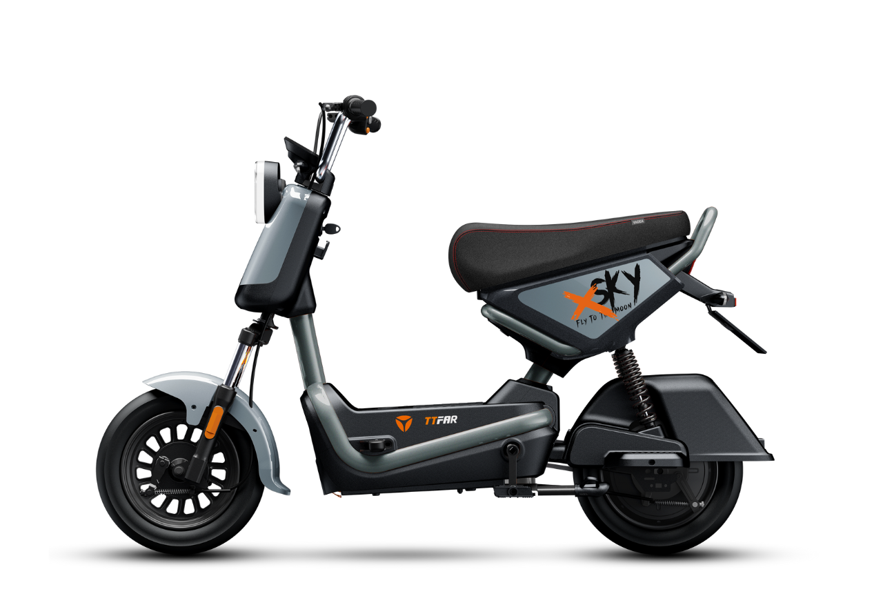 Xe đạp điện Yadea X-SKY