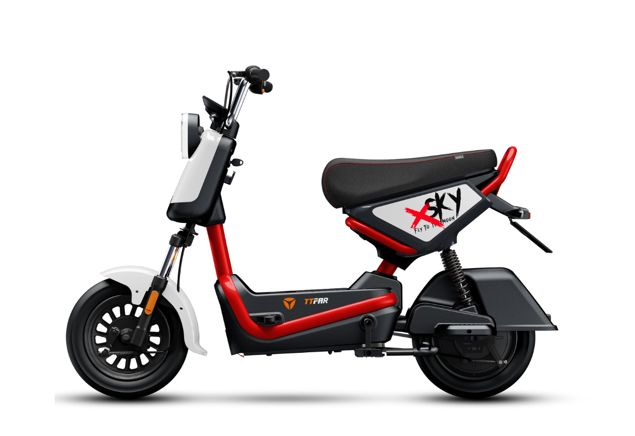 Xe đạp điện Yadea X-SKY